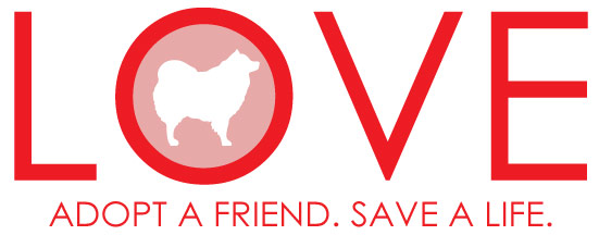 LOVE - Adopt a Friend, Save a Life